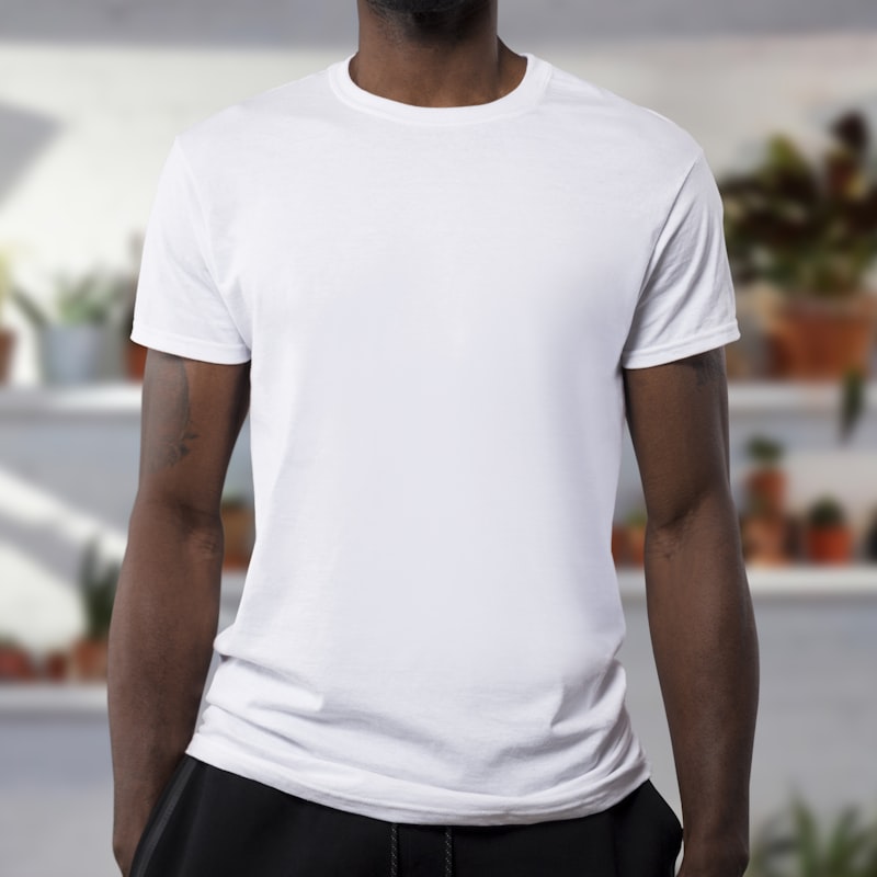 Sudaderas y Camisetas Universitarias